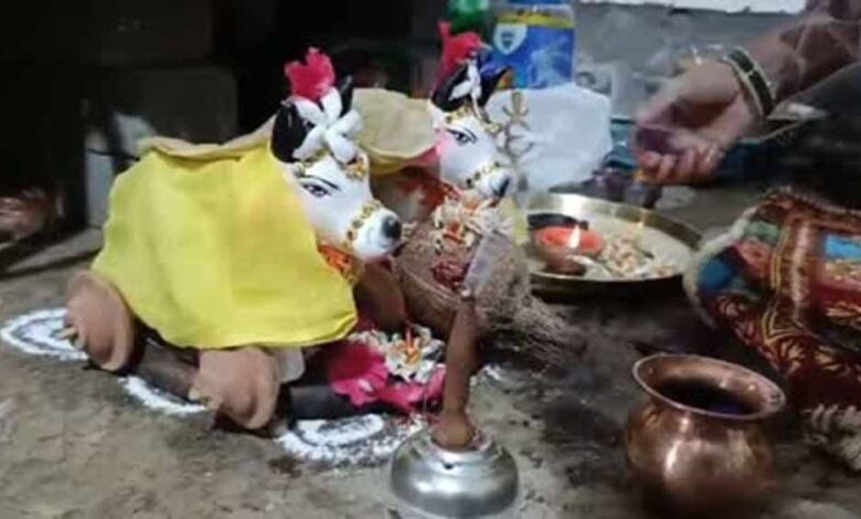 प्रदेश में धूमधाम से मनाया जा रहा पोला तिहार, बैलों की सजावट ने बढ़ाई रौनक प्रदेश में धूमधाम से मनाया जा रहा पोला तिहार, बैलों की सजावट ने बढ़ाई रौनक