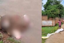 रायपुर-बिलासपुर में 2 बोरियां… 2 संदिग्ध लाश, इलाके में फैली सनसनी