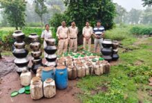 कबीरधाम में पुलिस की बड़ी कार्रवाई, भारी मात्रा में अवैध शराब जब्त
