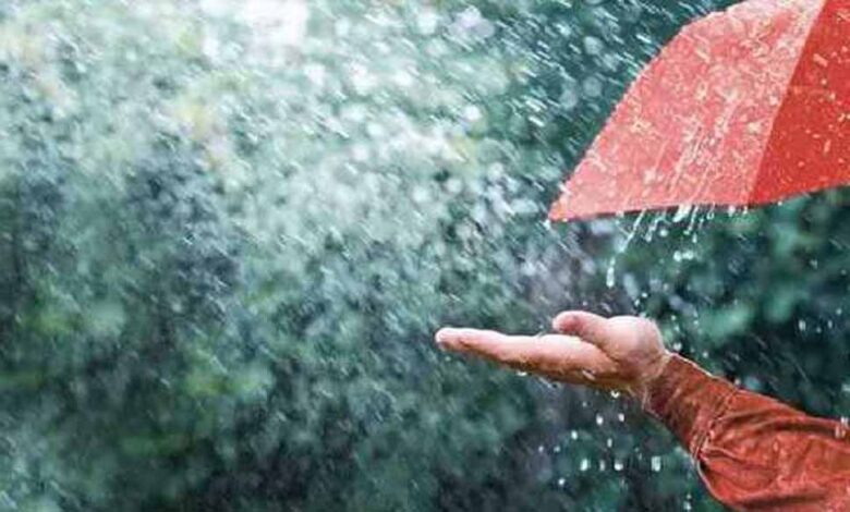 प्रदेश में अब तक 689.9 मिमी औसत बारिश, मौसम विभाग ने जारी किया नया आंकड़ा