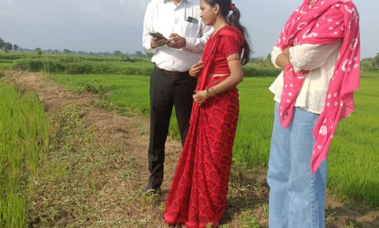 मुख्यमंत्री के निर्देश पर रायपुर जिले में किया जा रहा डिजिटल क्रॉप सर्वे… मुख्यमंत्री के निर्देश पर रायपुर जिले में किया जा रहा डिजिटल क्रॉप सर्वे…