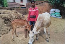 डेयरी उद्यमिता विकास योजना से सुखसागर को मिला आर्थिक स्वावलंबन….