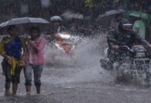 रायपुर : प्रदेश में अब तक 832.2 मि.मी. औसत वर्षा दर्ज