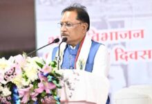 भारत का विभाजन इतिहास की एक गहरी पीड़ा : मुख्यमंत्री विष्णु देव साय