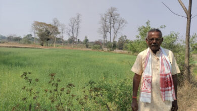 कम लागत से गेहूं की फसल में किसानों को मिलेगा ज्यादा मुनाफा…..