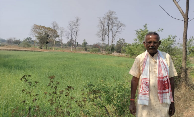 कम लागत से गेहूं की फसल में किसानों को मिलेगा ज्यादा मुनाफा…..