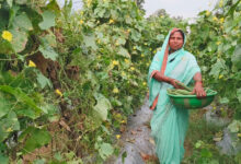 दानवती आर्माे बनीं लखपति दीदी, महिलाओं को दे रहीं रोजगार, 90 डिसमिल से 7 एकड़ तक का सफर….