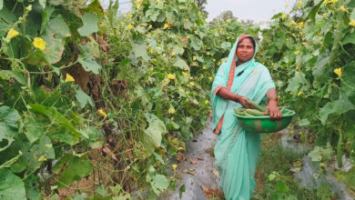 दानवती आर्माे बनीं लखपति दीदी, महिलाओं को दे रहीं रोजगार, 90 डिसमिल से 7 एकड़ तक का सफर….