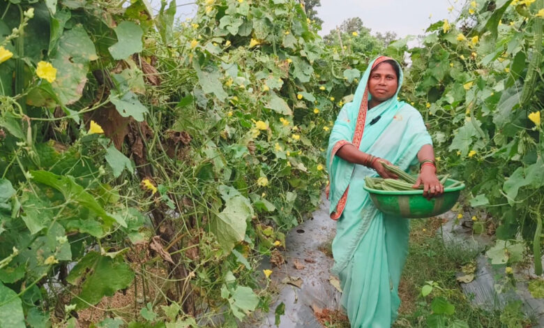 दानवती आर्माे बनीं लखपति दीदी, महिलाओं को दे रहीं रोजगार, 90 डिसमिल से 7 एकड़ तक का सफर….