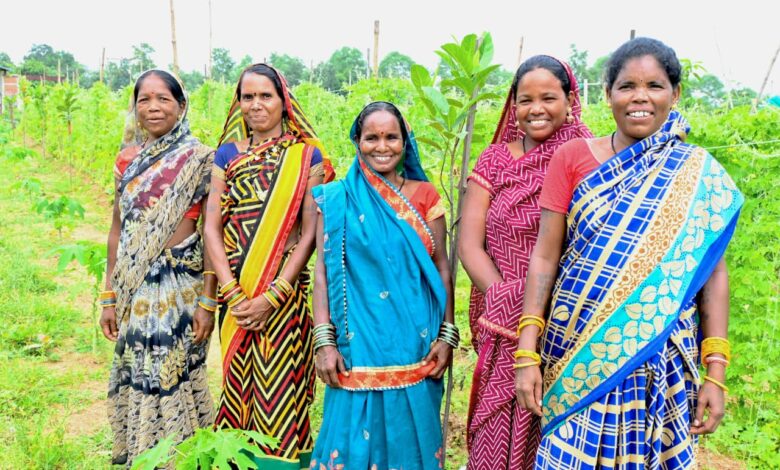 कमार महिलाओं ने बिहान समूह से जुड़कर बाड़ी व नर्सरी व्यवसाय से बढ़ाई आमदनी, 6 माह में हुई 30 हजार तक की कमाई… कमार महिलाओं ने बिहान समूह से जुड़कर बाड़ी व नर्सरी व्यवसाय से बढ़ाई आमदनी, 6 माह में हुई 30 हजार तक की कमाई…