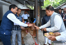 मुख्यमंत्री विष्णु देव साय ने चंद्र ग्रहण से पहले निभाई परंपरा, गौ माता को खिलाया गुड़-रोटी….