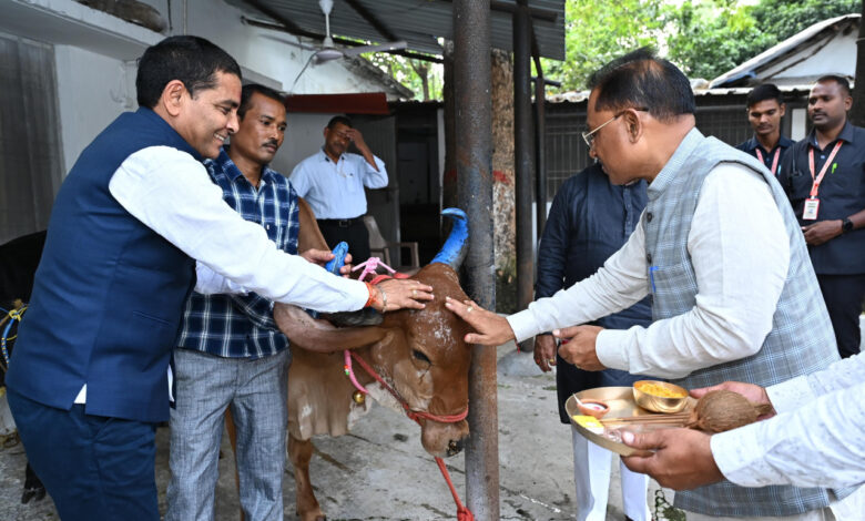 मुख्यमंत्री विष्णु देव साय ने चंद्र ग्रहण से पहले निभाई परंपरा, गौ माता को खिलाया गुड़-रोटी…. मुख्यमंत्री विष्णु देव साय ने चंद्र ग्रहण से पहले निभाई परंपरा, गौ माता को खिलाया गुड़-रोटी….