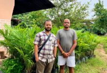 विशेष लेख : मिलाराबाद के किसान अंतर्यामी ऑर्गेनिक खेती अपनाकर समाज में मिसाल पेश की….