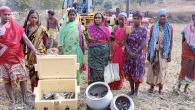 अमृत सरोवर बना महिला सशक्तिकरण का माध्यम… अमृत सरोवर बना महिला सशक्तिकरण का माध्यम…