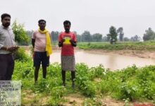 जल संरक्षण से सोनवर्षा ग्राम के ग्रामीण बने आत्मनिर्भर….