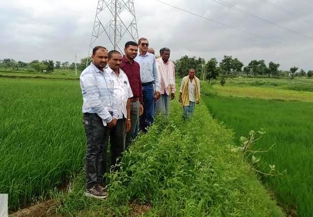 विक्रम टीसीआर : कम अवधि और कम पानी में ज्यादा उपज देने वाली धान की किस्म…