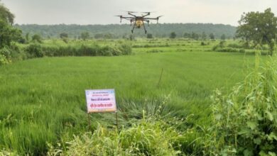धान की फसल में ड्रोन तकनीक का सफल प्रदर्शन, किसानों को मिली आधुनिक खेती की जानकारी…..