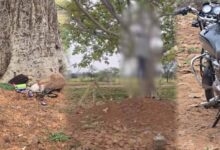 पेड़ से लटका मिला युवक का शव, ग्रामीणों में मचा हड़कंप