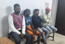 कोरबा में गोवंश तस्करी का पर्दाफाश: आरोपी गिरफ्तार, सात बैल बरामद