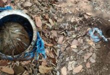 नारायणपुर में नक्सली साजिश फेल: तीन प्रेशर-कुकर बम बरामद, सुरक्षाबलों ने किए निष्क्रिय