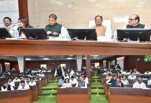 कलेक्टर-डीएफओ कॉन्फ्रेंस: CM साय वन विभाग के कामों की कर रहे समीक्षा
