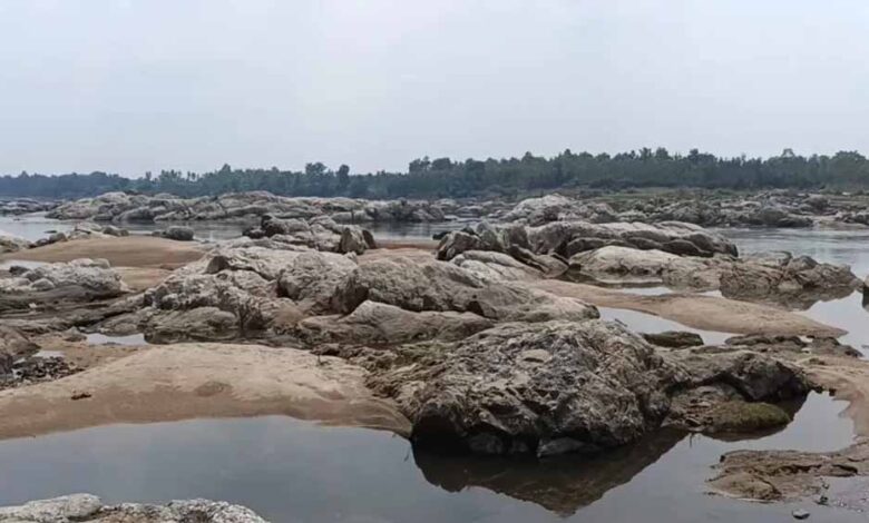 गायखुरी पत्थर की रंगोली: एक ऐसा इतिहास जो समय को थामकर रह गया! गायखुरी पत्थर की रंगोली: एक ऐसा इतिहास जो समय को थामकर रह गया!