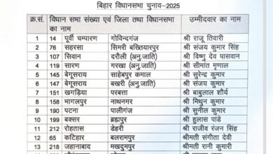 चिराग पासवान की पार्टी लोजपा (राम विलास) ने बिहार चुनाव के लिए जारी की 29 उम्मीदवारों की सूची चिराग पासवान की पार्टी लोजपा (राम विलास) ने बिहार चुनाव के लिए जारी की 29 उम्मीदवारों की सूची