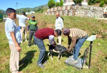 उत्तराखंड: वोकल फॉर लोकल, चिकन मटन की आपूर्ति से किसान बन रहे मालामाल