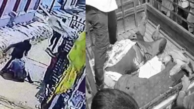 जबलपुर में सनसनीखेज वारदात: छोटे भाई ने प्रॉपर्टी विवाद में भाई-भाभी की चाकू से हत्या की जबलपुर में सनसनीखेज वारदात: छोटे भाई ने प्रॉपर्टी विवाद में भाई-भाभी की चाकू से हत्या की