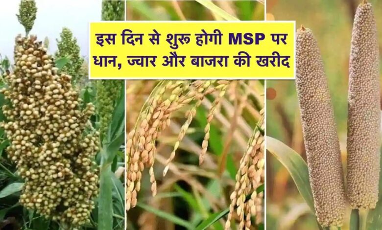 समर्थन मूल्य पर धान, ज्वार, बाजरा उपार्जन के लिए 8 लाख 53 हजार 911 किसानों ने कराया पंजीयन समर्थन मूल्य पर धान, ज्वार, बाजरा उपार्जन के लिए 8 लाख 53 हजार 911 किसानों ने कराया पंजीयन