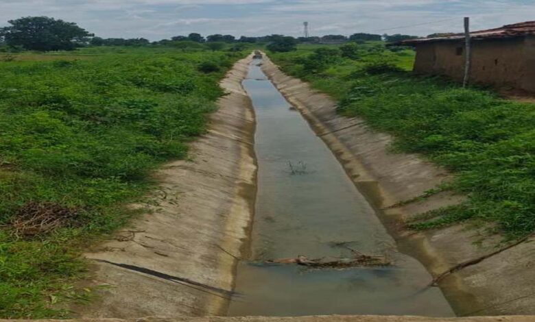 रायपुर : सिंचाई रकबे में उल्लेखनीय बढ़ोतरी, 40 हजार से अधिक किसान ले रहे लाभ रायपुर : सिंचाई रकबे में उल्लेखनीय बढ़ोतरी, 40 हजार से अधिक किसान ले रहे लाभ