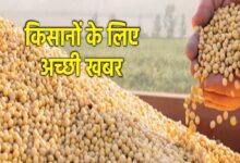 मध्य प्रदेश भावांतर योजना में 14727 किसानों से 25999 टन सोयाबीन खरीदी, जनवरी तक जारी