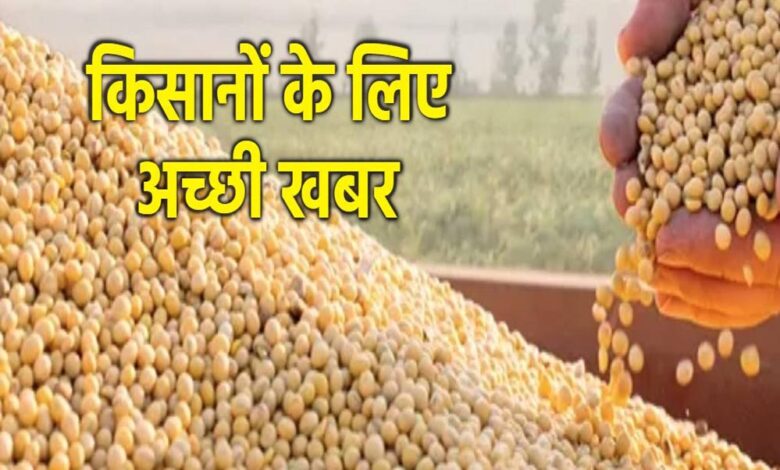 मध्य प्रदेश भावांतर योजना में 14727 किसानों से 25999 टन सोयाबीन खरीदी, जनवरी तक जारी मध्य प्रदेश भावांतर योजना में 14727 किसानों से 25999 टन सोयाबीन खरीदी, जनवरी तक जारी