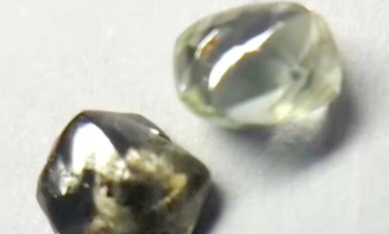 पन्ना टाइगर रिजर्व के गाइड को मिले दो चमचमाते हीरे, आगामी नीलामी में होंगे रखे