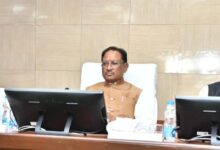 लघु वनोपजों से आत्मनिर्भरता की राह — मुख्यमंत्री  साय ने तय किया हरित विकास का रोडमैप