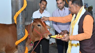 गोवर्धन पूजा के अवसर पर मुख्यमंत्री ने किया गौपूजन, प्रदेशवासियों की सुख-समृद्धि की कामना की गोवर्धन पूजा के अवसर पर मुख्यमंत्री ने किया गौपूजन, प्रदेशवासियों की सुख-समृद्धि की कामना की
