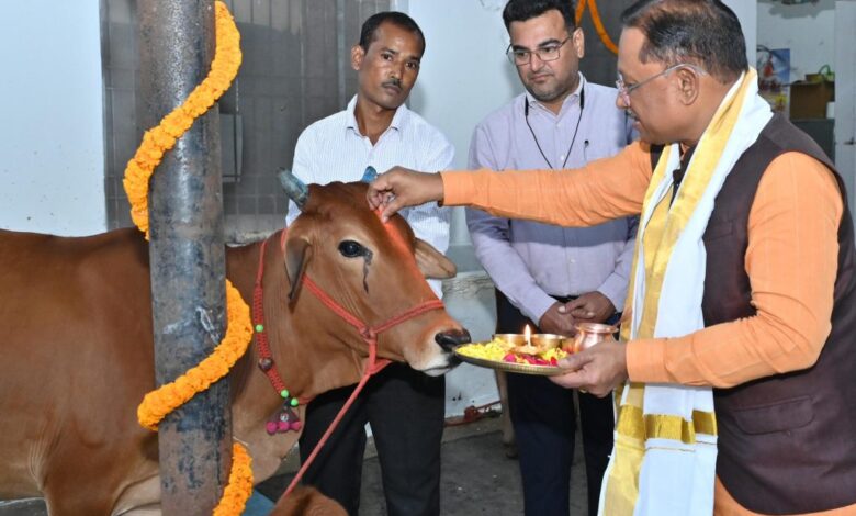 गोवर्धन पूजा के अवसर पर मुख्यमंत्री ने किया गौपूजन, प्रदेशवासियों की सुख-समृद्धि की कामना की गोवर्धन पूजा के अवसर पर मुख्यमंत्री ने किया गौपूजन, प्रदेशवासियों की सुख-समृद्धि की कामना की