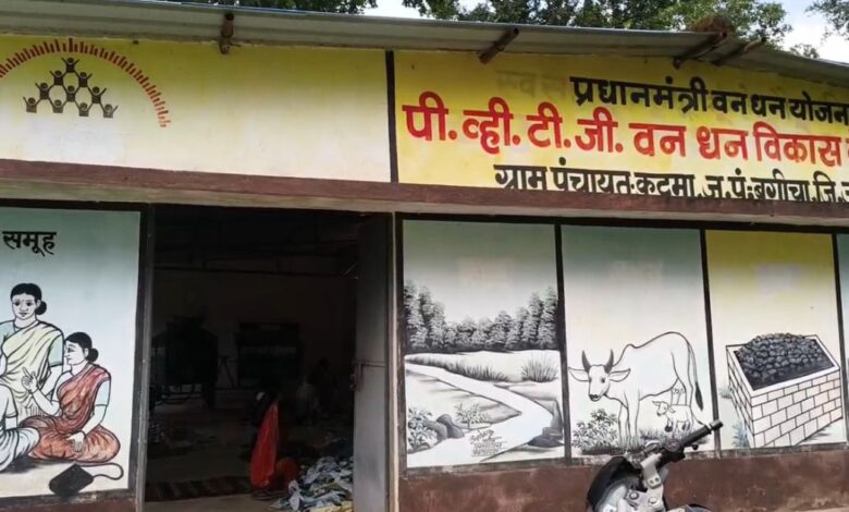 विशेष पिछड़ी जनजाति पहाड़ी कोरवा महिलाओं को पी.एम. जनमन योजना का मिल रहा लाभ…..