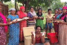 मछली पालन आय का उत्तम साधन: मुख्यमंत्री विष्णुदेव साय ने मछली पालन और महिलाओं के आर्थिक सशक्तिकरण के लिए उठाए कदम….