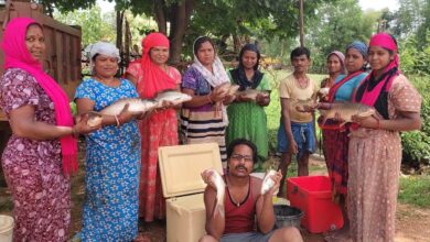 मछली पालन आय का उत्तम साधन: मुख्यमंत्री विष्णुदेव साय ने मछली पालन और महिलाओं के आर्थिक सशक्तिकरण के लिए उठाए कदम…. मछली पालन आय का उत्तम साधन: मुख्यमंत्री विष्णुदेव साय ने मछली पालन और महिलाओं के आर्थिक सशक्तिकरण के लिए उठाए कदम….