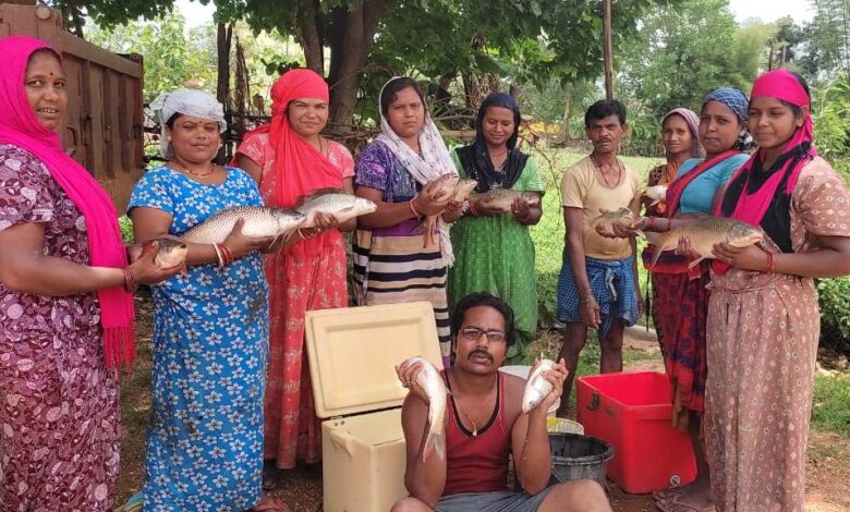 मछली पालन आय का उत्तम साधन: मुख्यमंत्री विष्णुदेव साय ने मछली पालन और महिलाओं के आर्थिक सशक्तिकरण के लिए उठाए कदम….