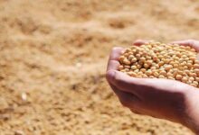 भावांतर योजना के लिए हेल्पलाइन कॉल सेंटर प्रारंभ