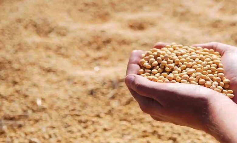 भावांतर योजना के लिए हेल्पलाइन कॉल सेंटर प्रारंभ भावांतर योजना के लिए हेल्पलाइन कॉल सेंटर प्रारंभ