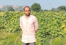 बरबट्टी और खीरा की खेती से आत्मनिर्भर बने बाह्मनपाली के किसान राज कुमार साहू….