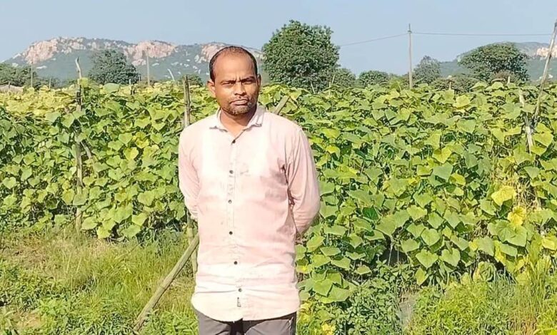 बरबट्टी और खीरा की खेती से आत्मनिर्भर बने बाह्मनपाली के किसान राज कुमार साहू….