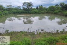 मनरेगा योजना से ग्रामीणों को मिला रोजगार और आत्मनिर्भरता का अवसर….