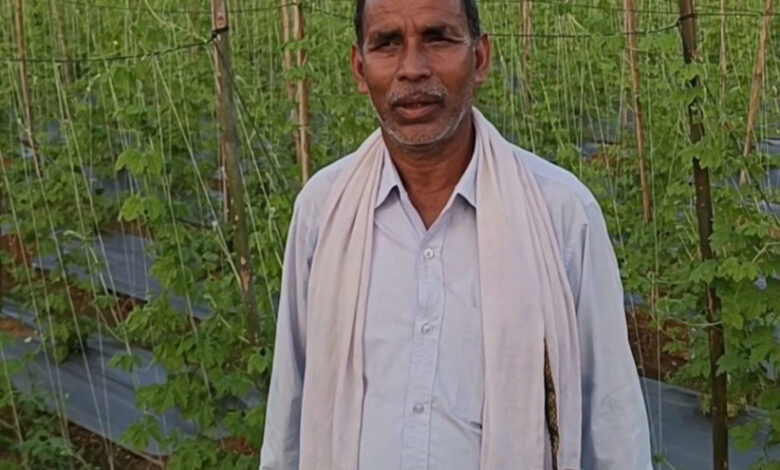 वैज्ञानिक पद्धति अपनाकर बड़ी कामयाबी हासिल की- नरेंद्र कुमार पटेल….