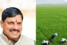 धनतेरस पर किसानों को बड़ा तोहफा! सरकार करेगी मुआवजे की धनवर्षा