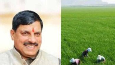धनतेरस पर किसानों को बड़ा तोहफा! सरकार करेगी मुआवजे की धनवर्षा धनतेरस पर किसानों को बड़ा तोहफा! सरकार करेगी मुआवजे की धनवर्षा