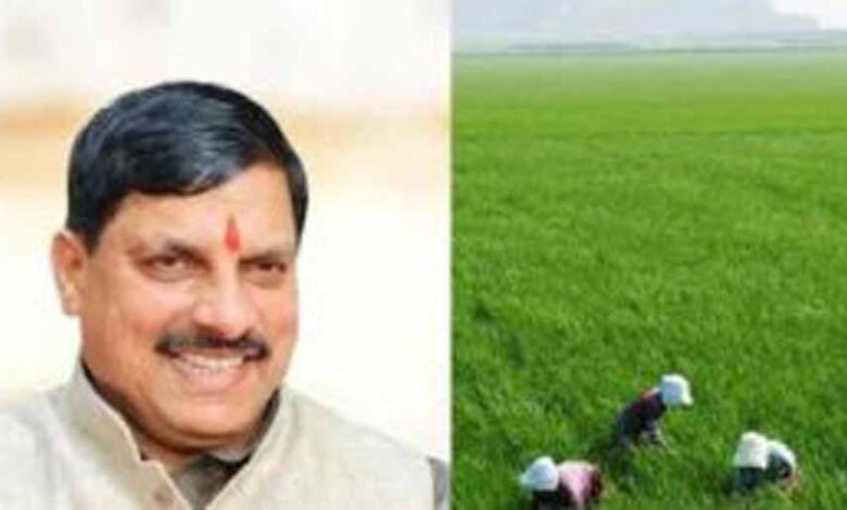 धनतेरस पर किसानों को बड़ा तोहफा! सरकार करेगी मुआवजे की धनवर्षा धनतेरस पर किसानों को बड़ा तोहफा! सरकार करेगी मुआवजे की धनवर्षा